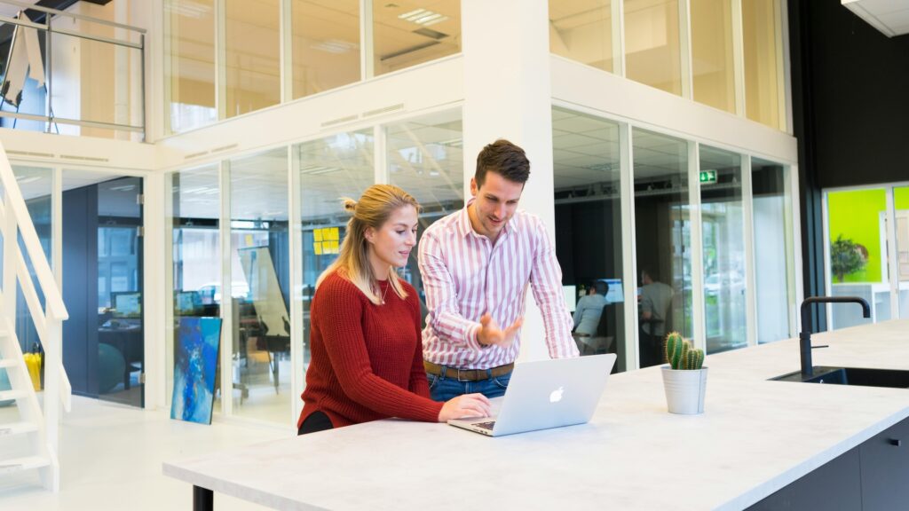 Consultant going over their computer with a customer